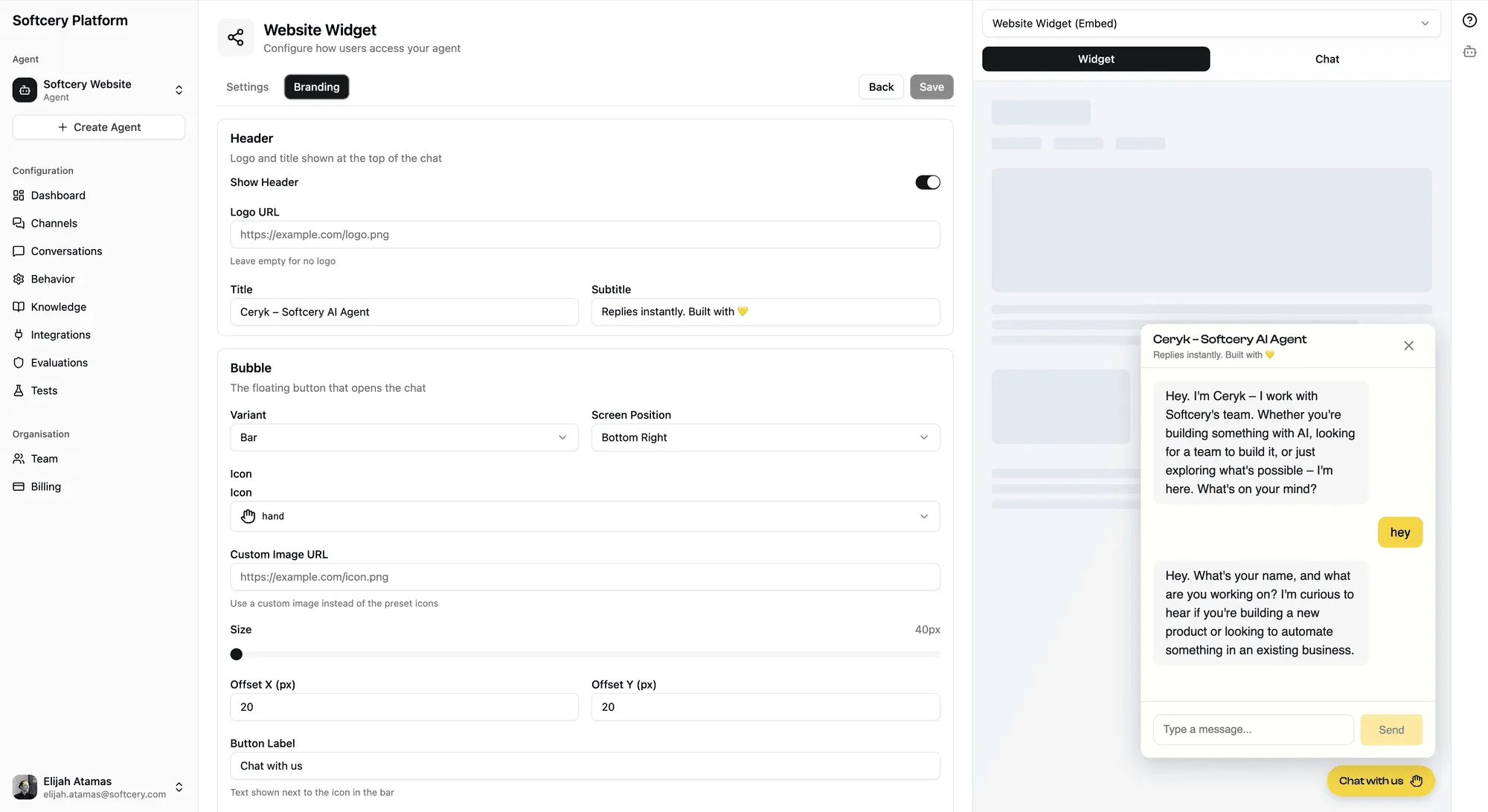 Channel branding configuration with live chat widget preview