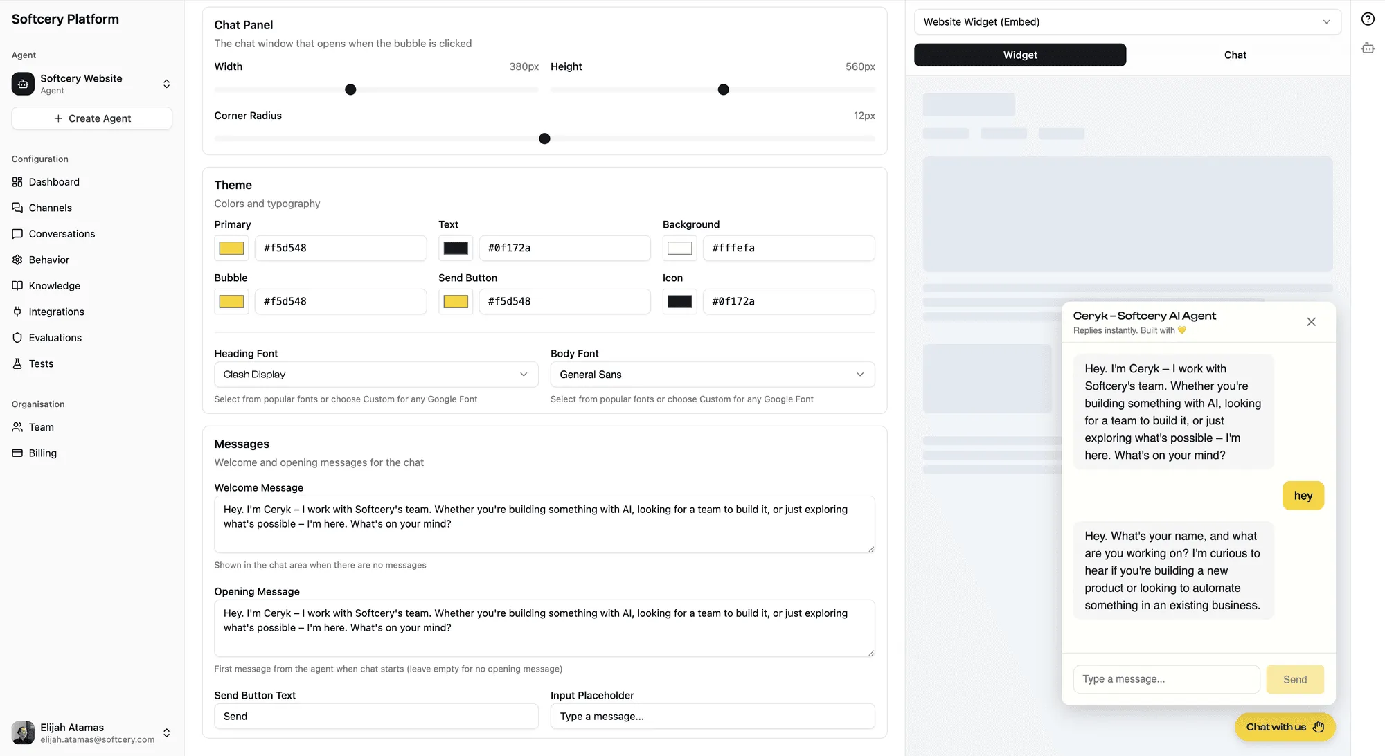 Channel branding with theme colors, typography, and chat widget preview